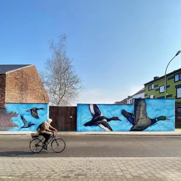 Eenden zwermen uit in Leopold Ruelensstraat