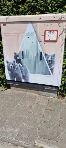 Oude en vuile kasten voor nutsvoorzieningen opgefleurd met een kunstwerkje
