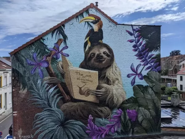 Prachtige streetart maakt bewoners van Pleinstraat in Heverlee gelukkiger: “We hopen dat het verkeer de rustige houding van de luiaard overneemt”