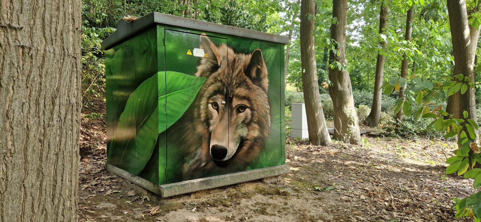 Tour Elentrik - Wilrijk - TUZQ en Painting Bear (10)