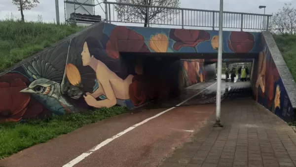 Muurschildering vrolijkt fietstunnel in Eisden op: “Het maakt van deze doorgang iets magisch”